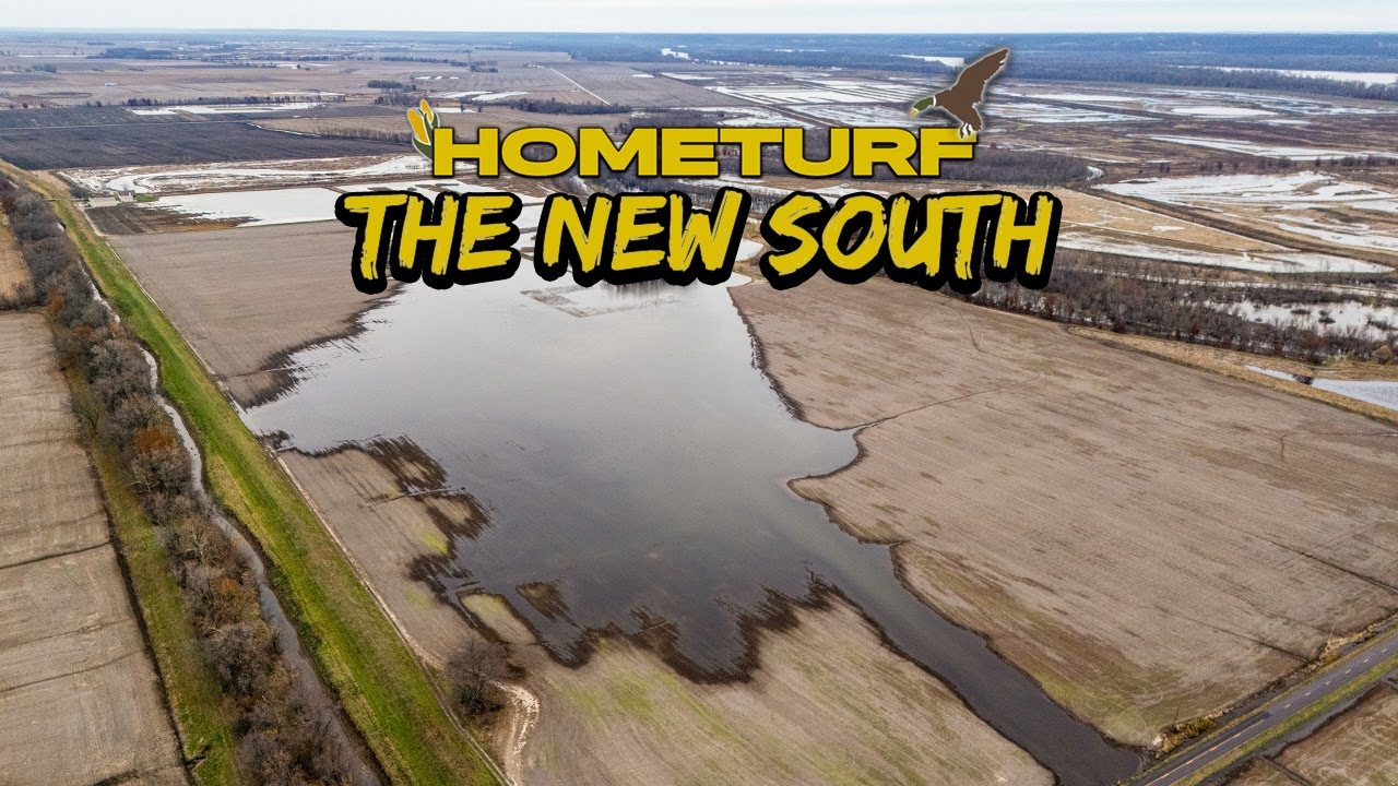 WE BUILT A DUCK REFUGE!! Transforming the New South to Create More Traffic | #HOMETURF EP7