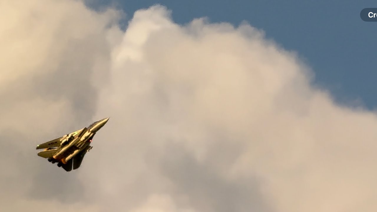 Freewing F-14 64mm swept and crash