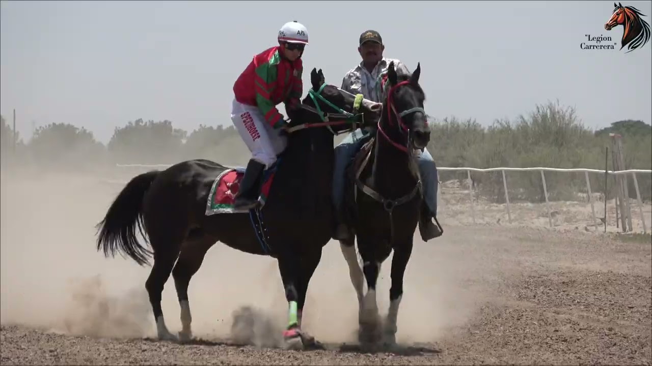 EL VIVO CUADRA JUNIORS (Duelo de tapados a 350 varas) 