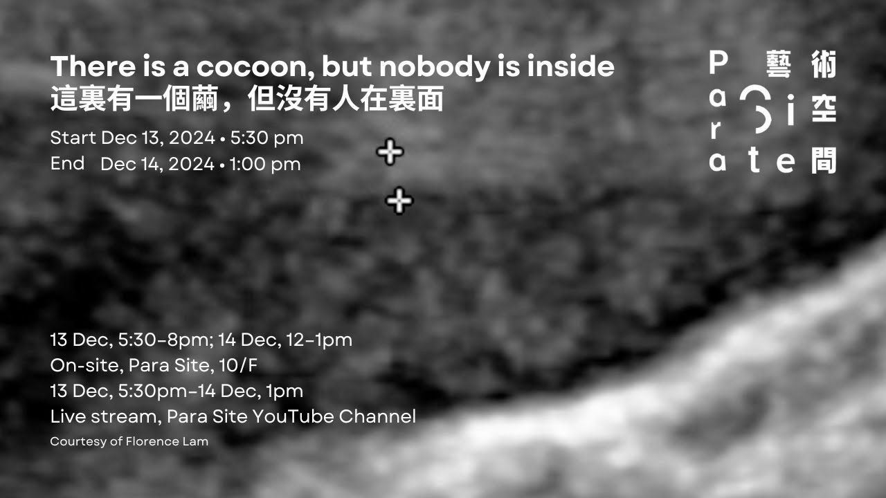 Florence Lam: There is a cocoon, but nobody is inside 這裏有一個繭，但沒有人在裏面 13.12.2024
