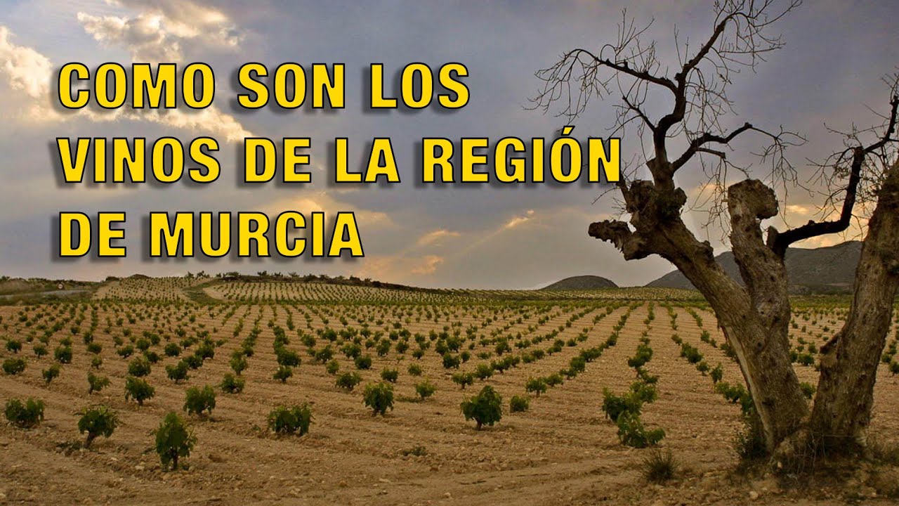 COMO SON LOS VINOS DE LA REGIÓN DE MURCIA