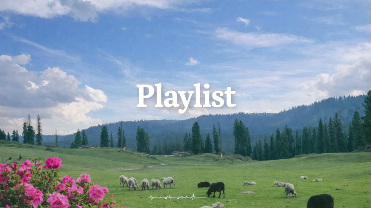 🎵 그리움이 몰려올 때 듣는 감성  트로트🎈 세월 지나 더 생각나는 사랑 노래 모음