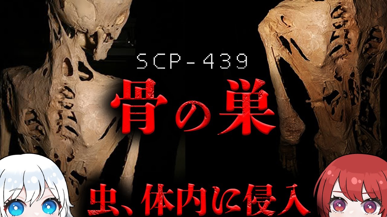 【ゆっくりSCP解説】これは、起源不明の昆虫です。【SCP-439】