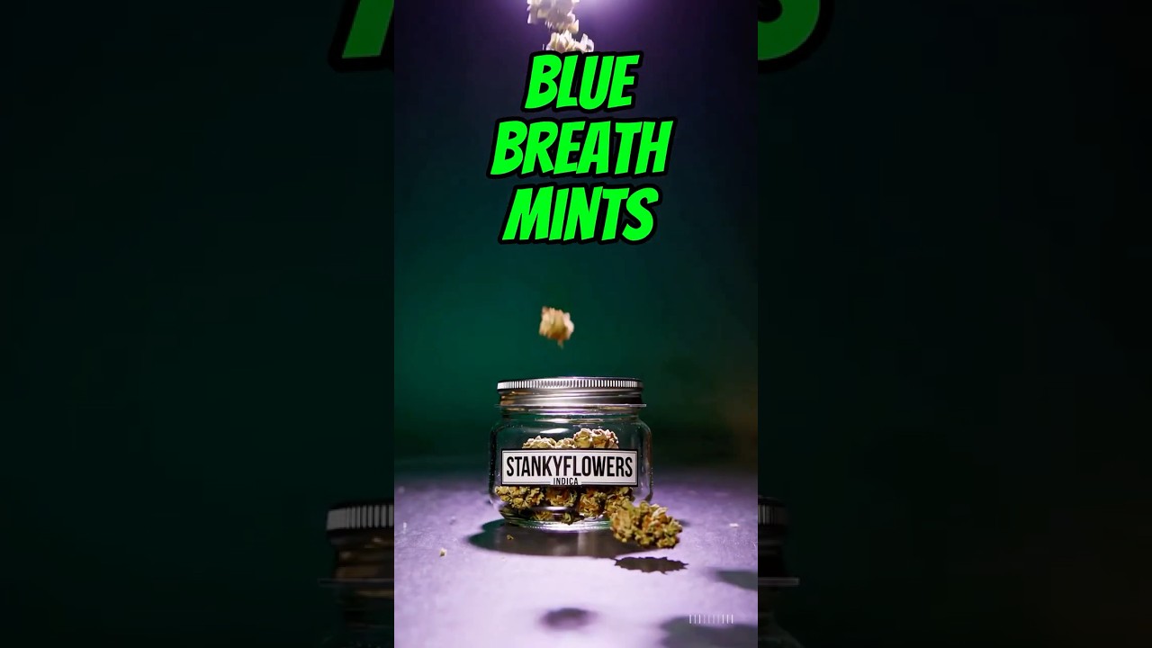 Blue Breath Mints Hybrid Review &ndash; Grassroots Concentrate from Curaleaf