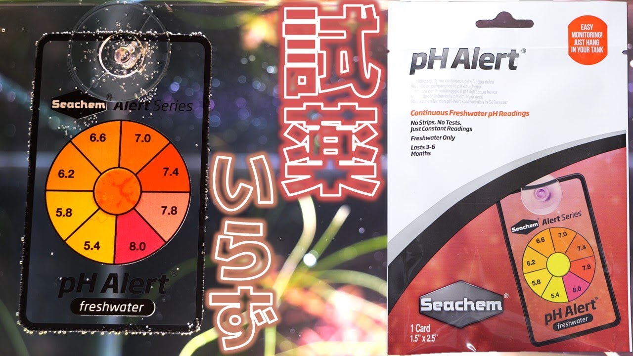 キスゴムで固定するだけで常時pHを計測できる優れもの。小さくてオシャレな見た目だから良い！シーケム pHアラート【ふぶきテトラ】