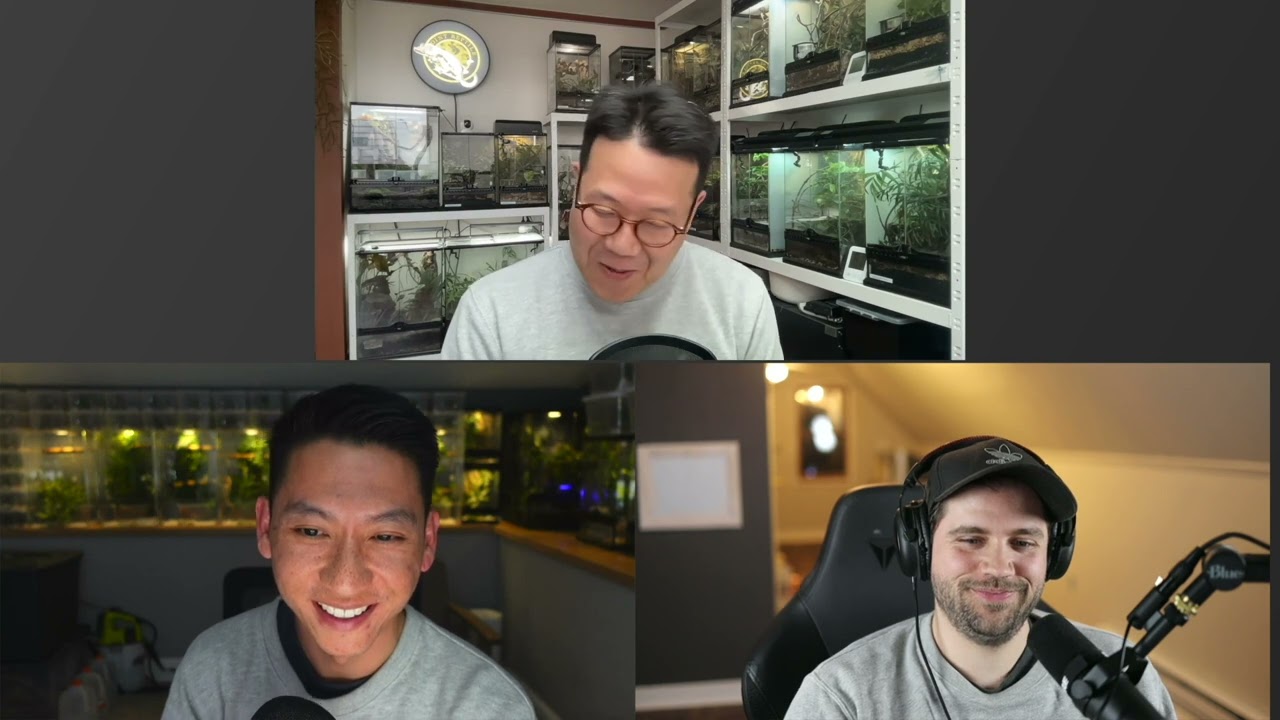Korean Gecko Market & Community w/ Oint Reptile | Ep. 16 of The Gecko Pod