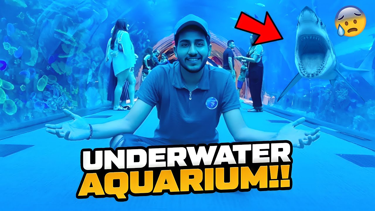 Aaj Sharks Dekhli Hamnay😱