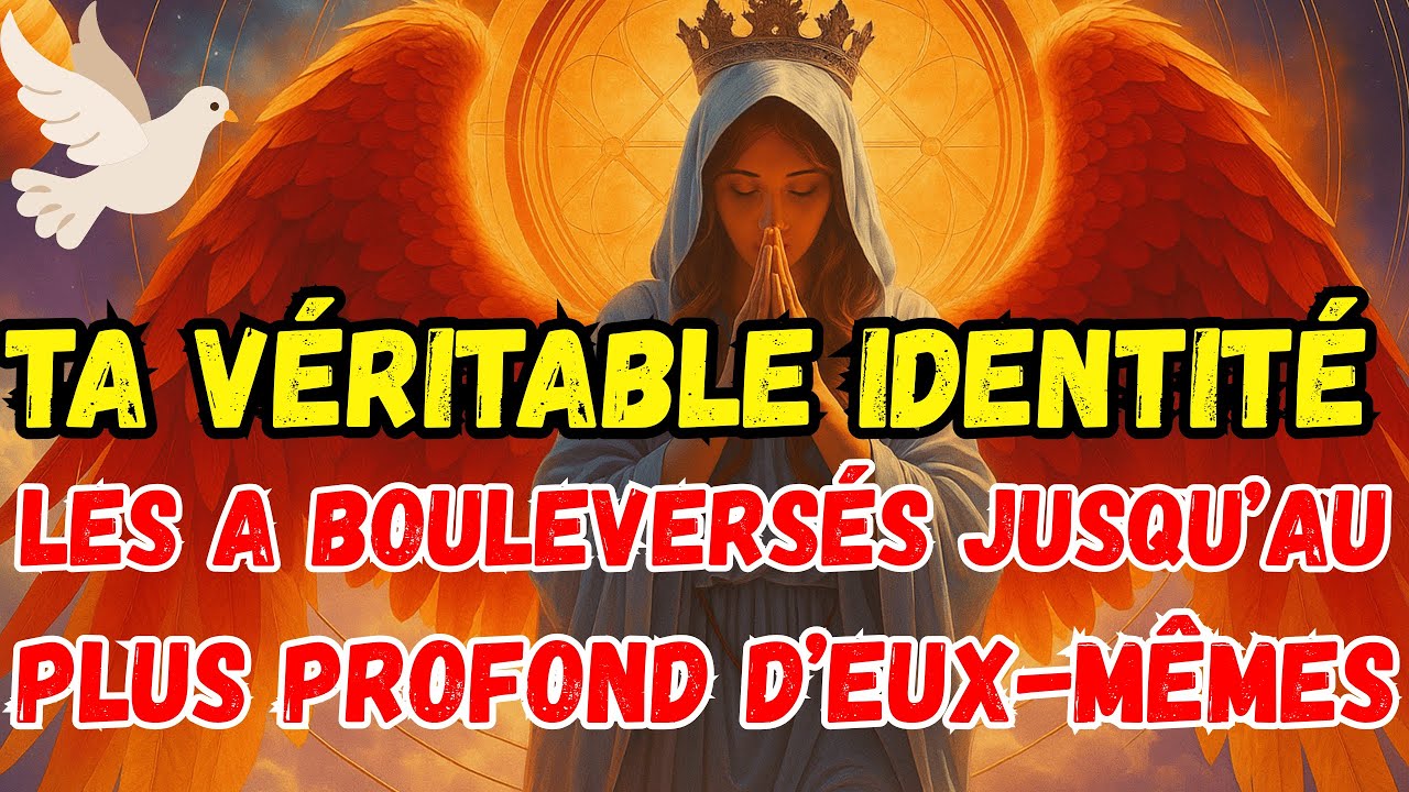 LES ÉLUS, OUPS ! MAINTENANT TOUT LE MONDE SAIT QUE C'EST VOUS ÊTES CELUI-LÀ 😤🔥 ILS ONT TELLEMENT ...