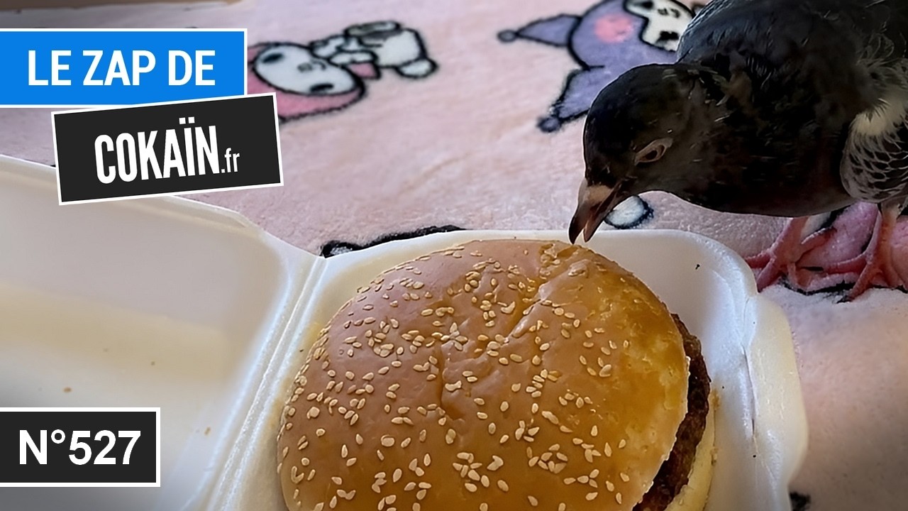 Le Zap de Coka&iuml;n.fr n&deg;527