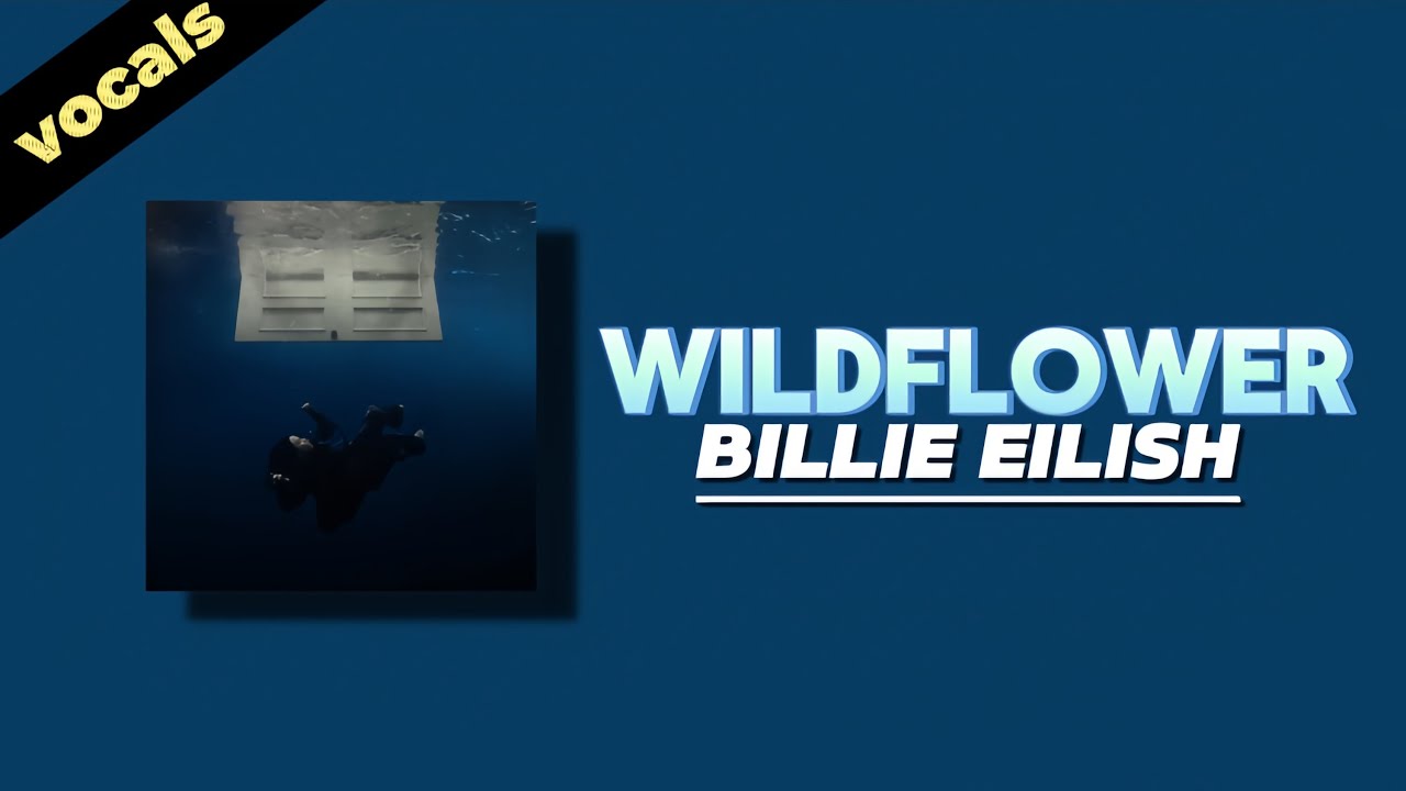 Wildflower | lyrics | vocals | Billie Eilish
