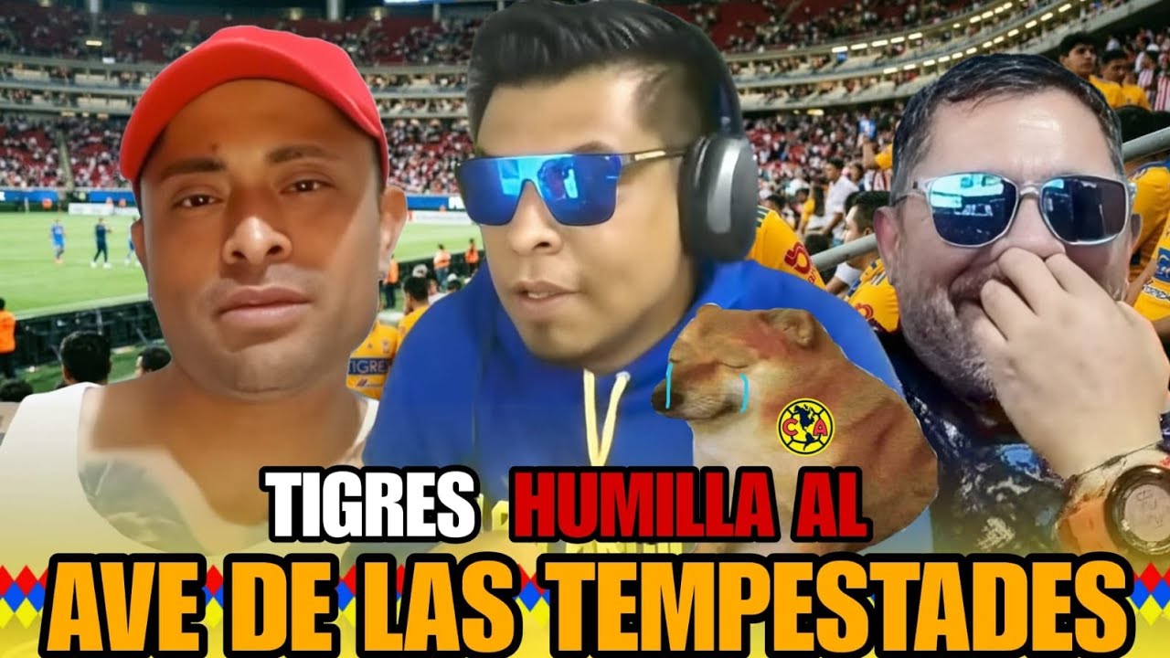 TIGRES HUMILLA AL AVE DE LAS TEMPESTADES 😔😔😔😔