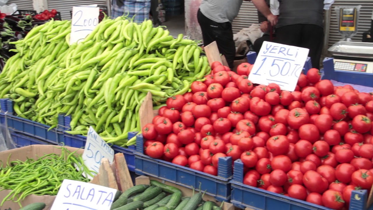 ÇARŞAMBA İLÇESİ TÜRKÇE TANITIM FİLMİ