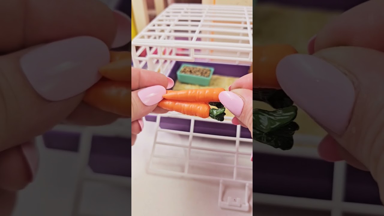 Let's set up Courtney's new Guinea Pig Cage! #asmr #guineapigs #americangirl #80s #nostalgia
