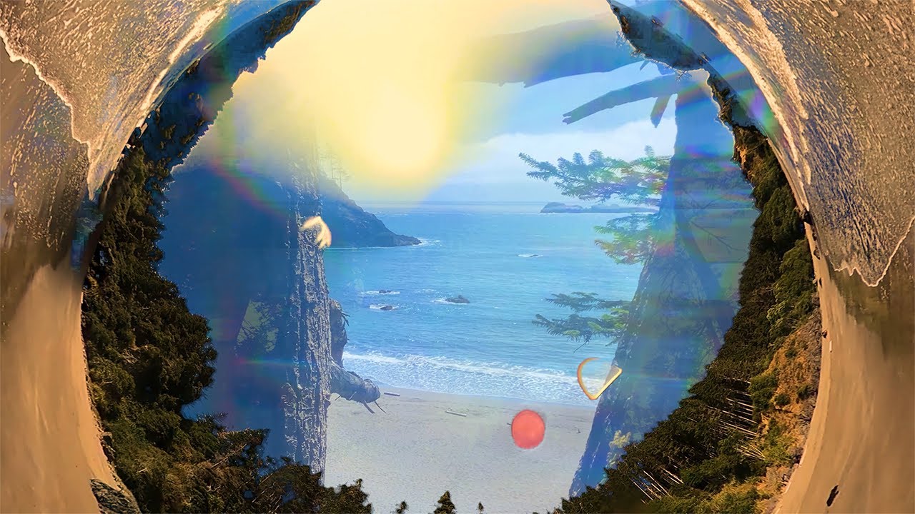 Sensi Trails - Purpose Dub Visualizer