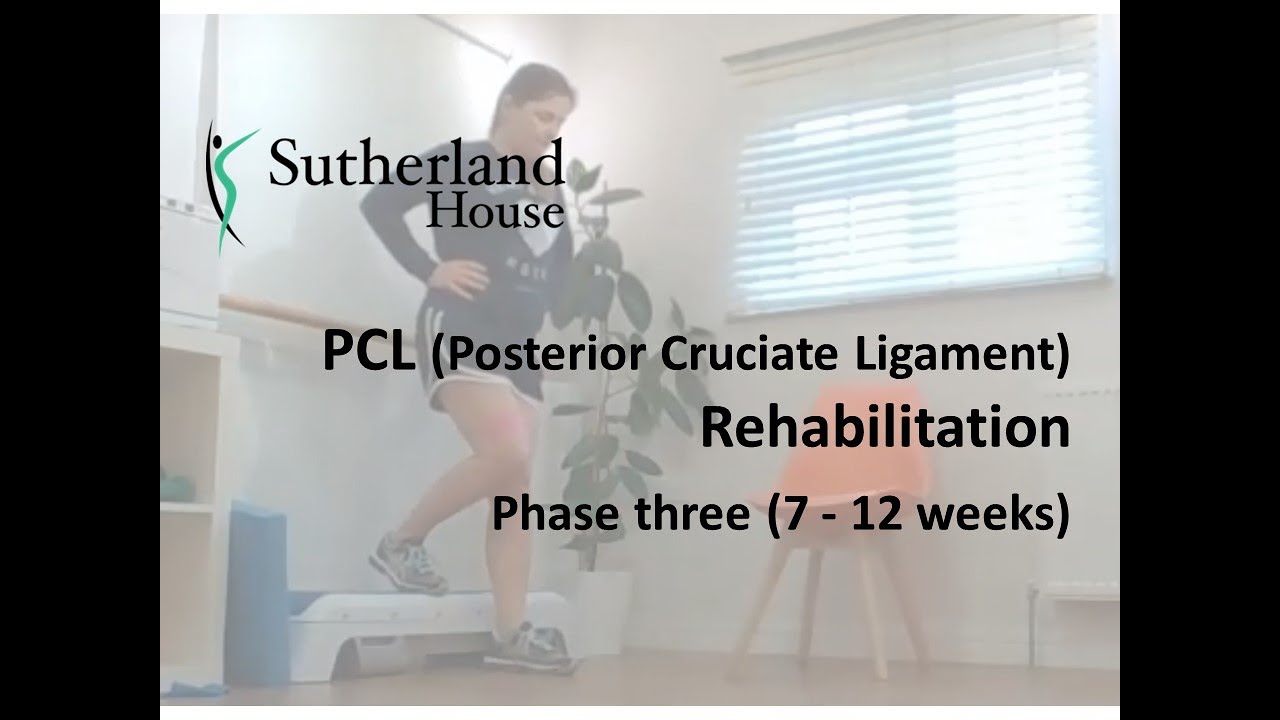 Posterior Cruciate Ligament (PCL) Rehabilitation - Phase three (7 - 12 weeks)