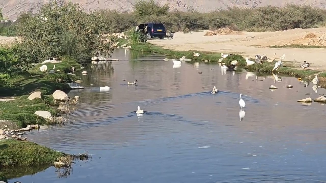 وادي  العامرات  وادي  جميل  ومكان  جيد  في  تأمل 