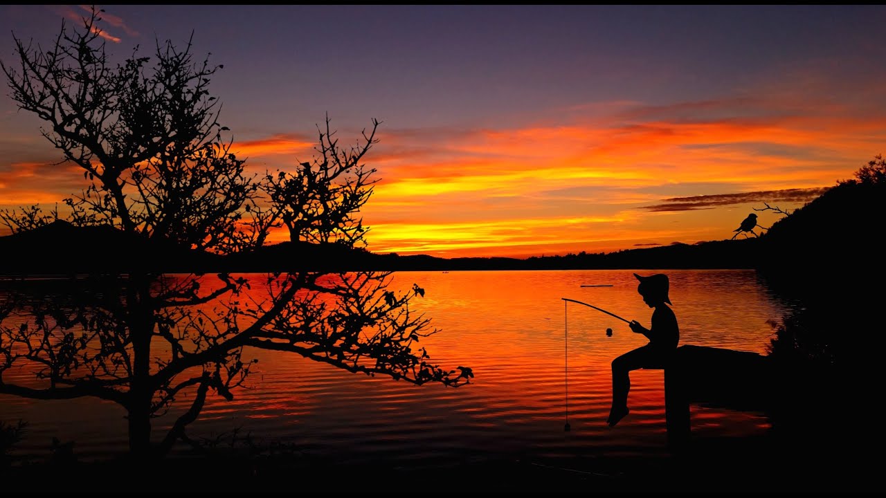 Russian Fishing 4. Nase gesucht und Güster gefunden. (Donez)