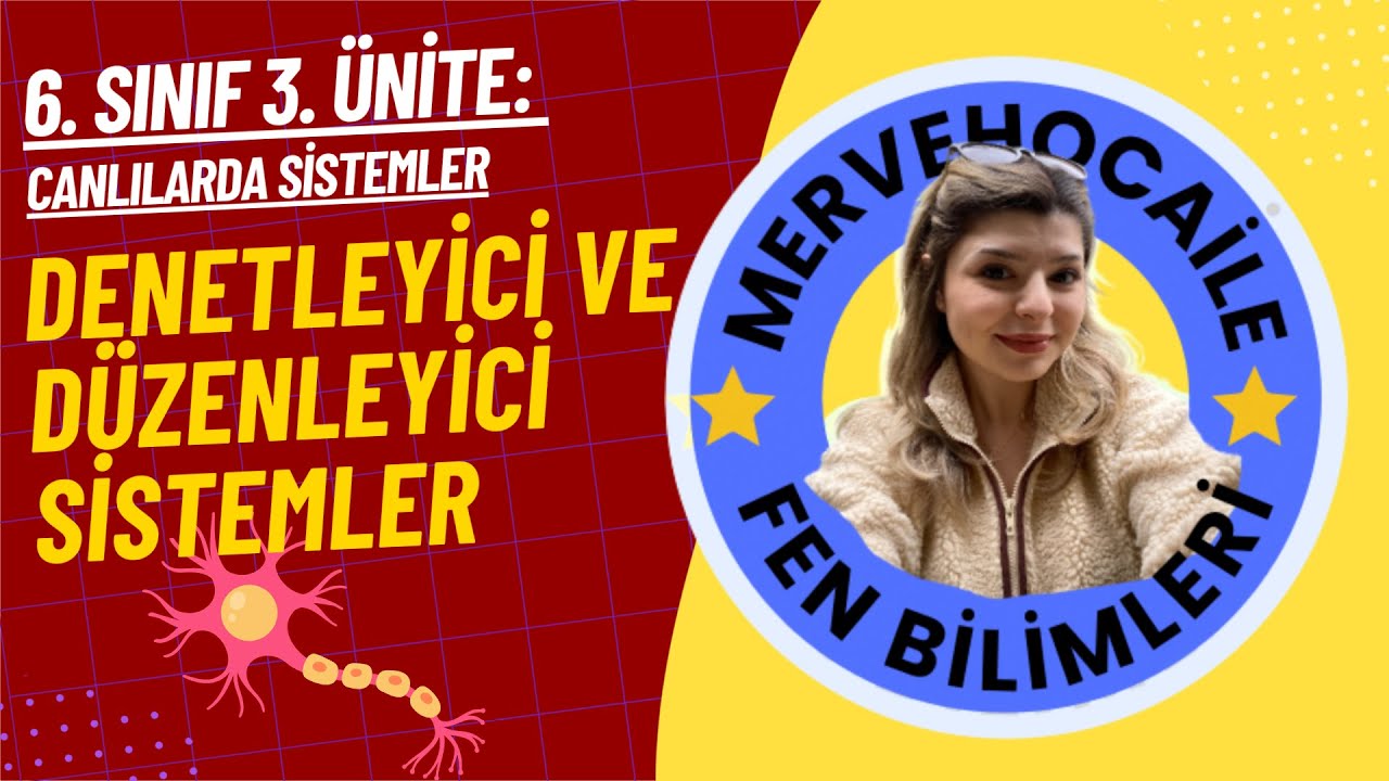 6. SINIF DENETLEYİCİ VE DÜZENLEYİCİ SİSTEMLER- SİNİR SİSTEMİNİN GÖREVLERİ (3. ÜNİTE) KONU ANLATIMI