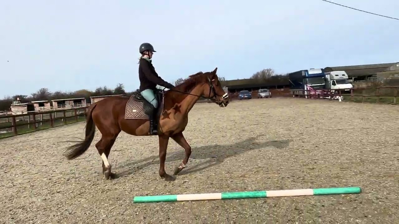 Ellie Mansbridge and Robin- ODD Prelim 1