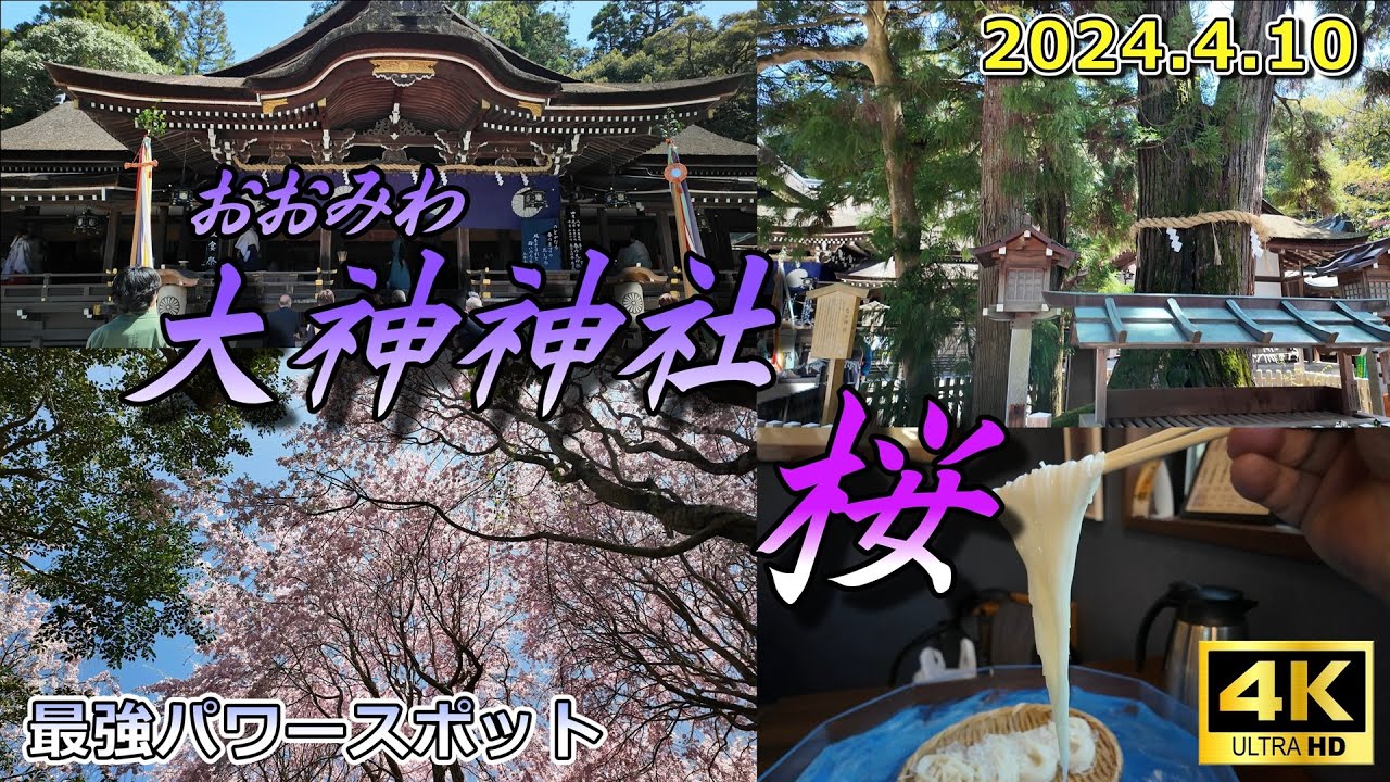 【奈良・大神神社の桜】日本最古の神社のパワーを頂き、桜を愛でる（2024.4.10撮影）