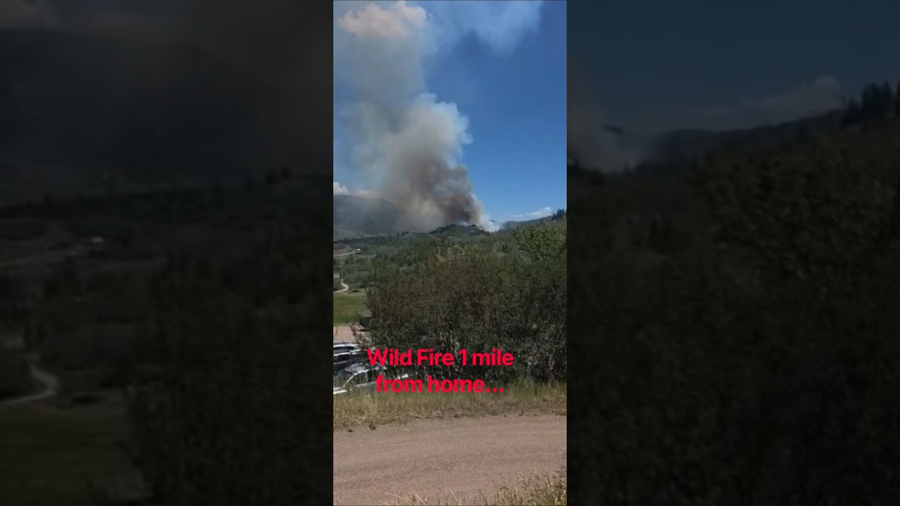 Wild Fire only 1 Mile away from home😟 #wildfire #firstresponders #emergency #shots ##outdoors
