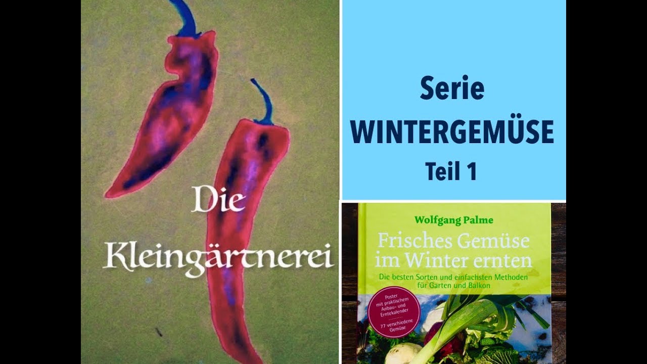 Serie Wintergemüse Teil 1: Buchtipp & Beetbepflanzung