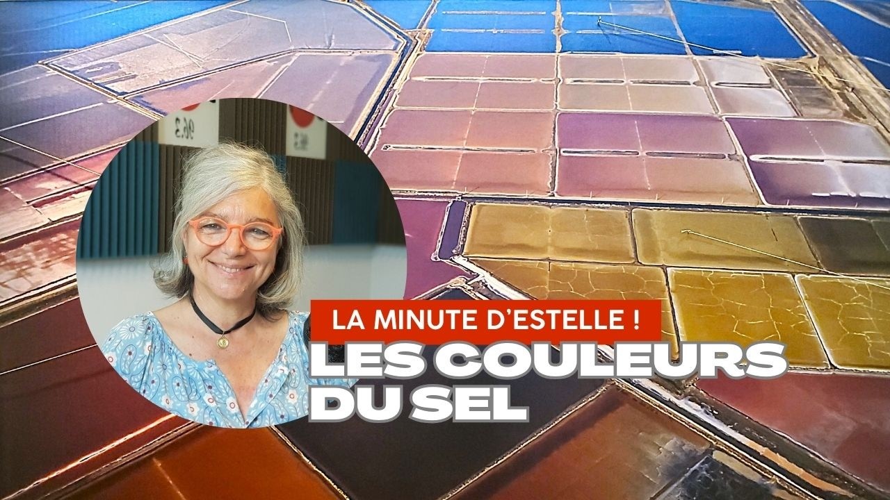 LA MINUTE D'ESTELLE ! Les couleurs du sel