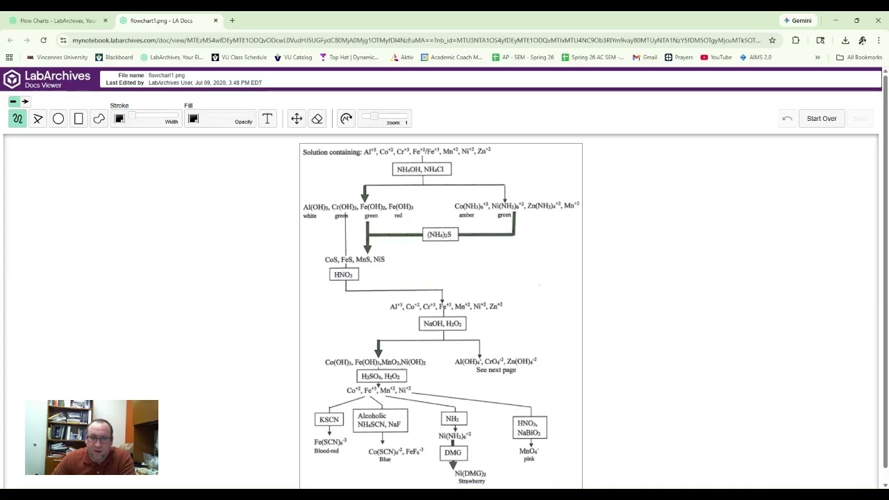 Group III qualitative analysis prelab video