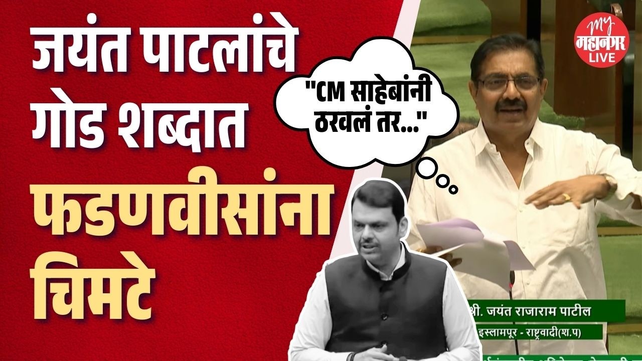 गोड बोलून जयंत पाटलांचे फडणवीसांना चिमटे, पाहा काय घडले ? | Jayant Patil