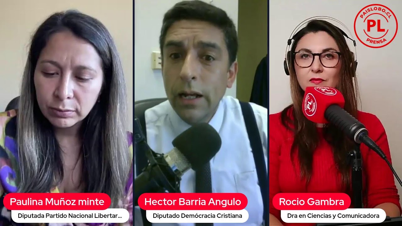 PODER EJECUTIVO EN ACCIÓN: DECRETOS, ZANJAS Y LA OFENSIVA LEGISLATIVA DE KAST