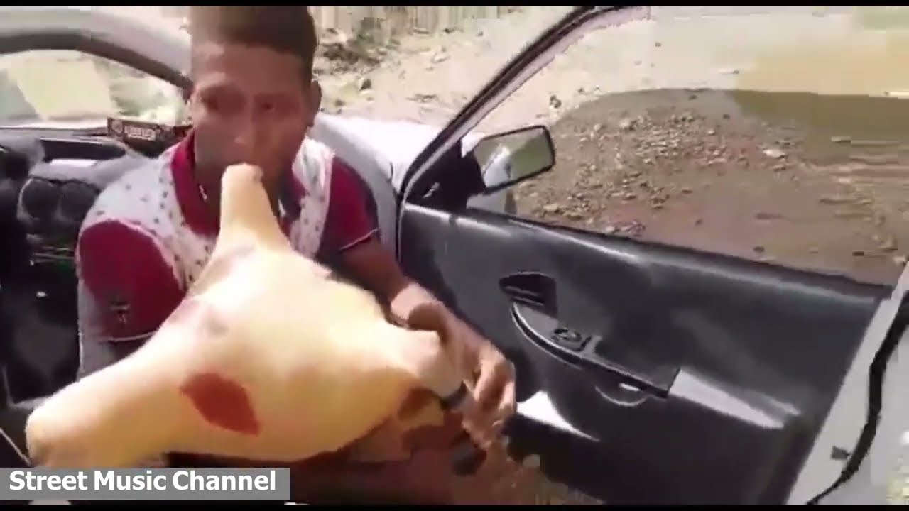 نی همبون شاد