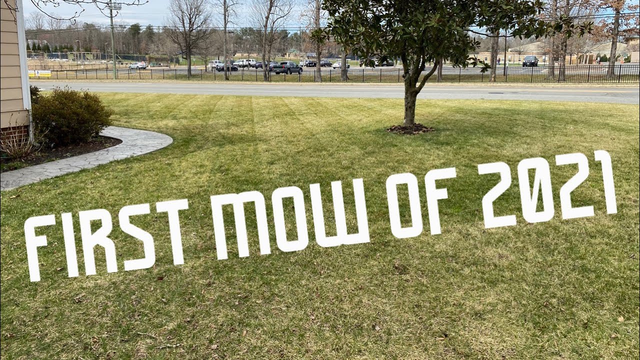 First Mow of the 2021 Season! March Lawn Care
