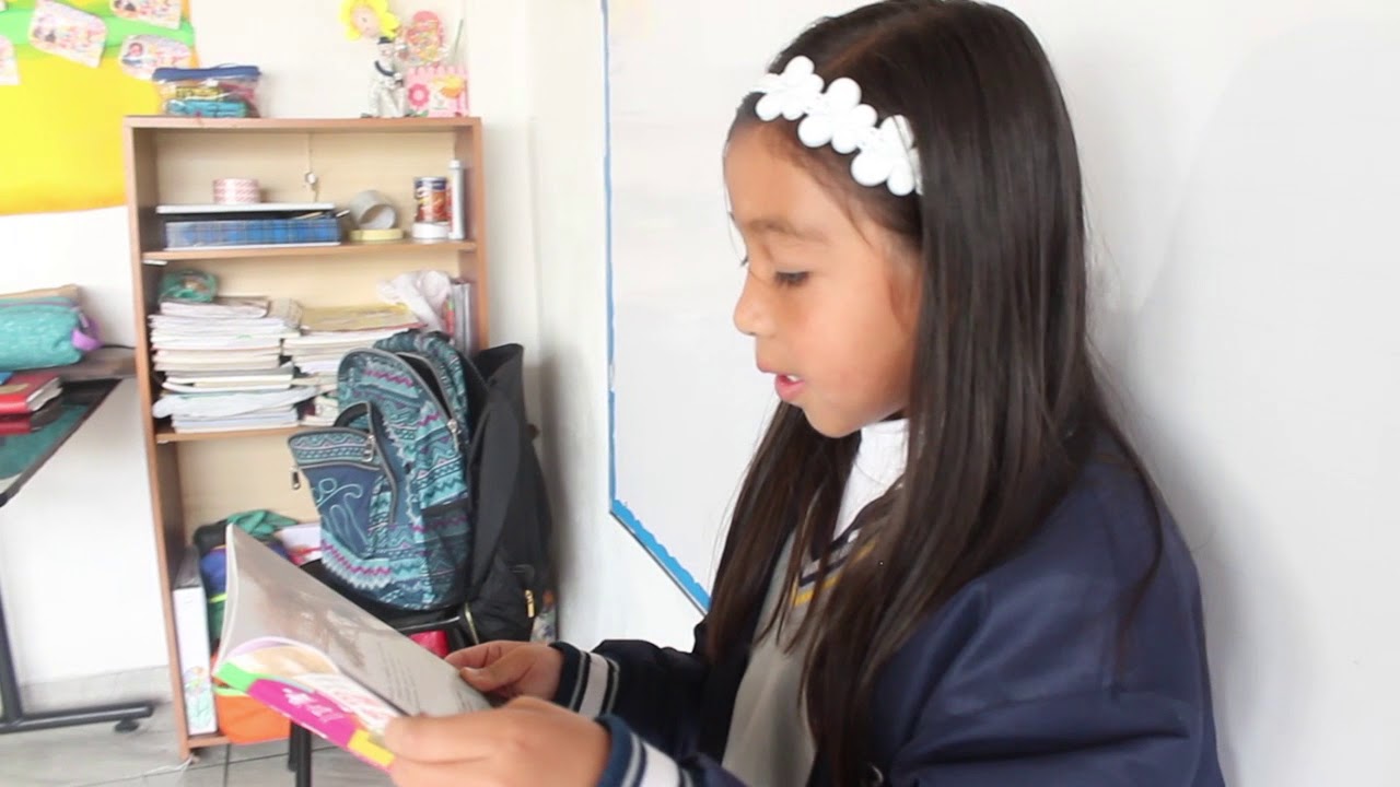 Liceo Bilingue Alejandria- video institucional 2017
