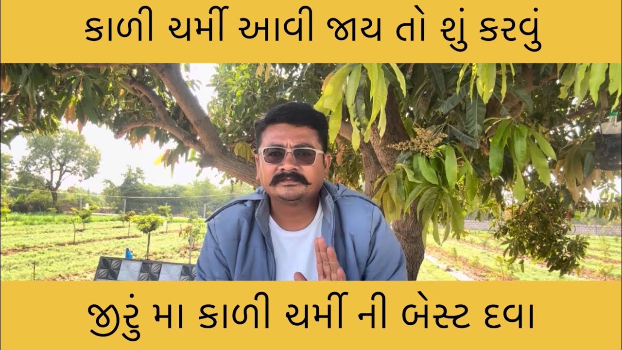 જીરું માં કાળી ચરમી માટે શું કાળજી રાખવી,કાળી ચરમી માટે કઈ દવા સારી 