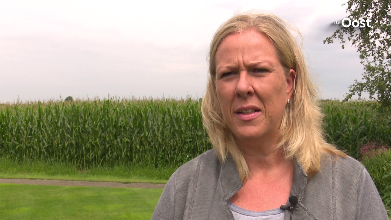 Fipronil vergiftigt eieren, groot financieel drama voor pluimveebedrijven