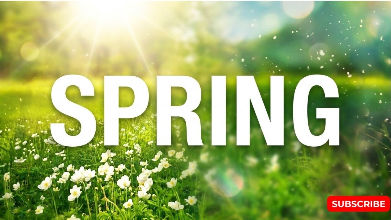 Spring - Zozo | Progressive House 2026