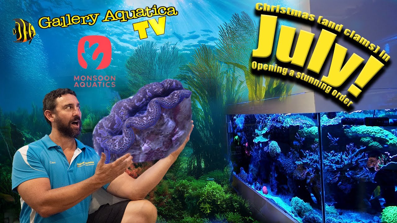Unpacking one of the best shipments of the year from Monsoon Aquatics!