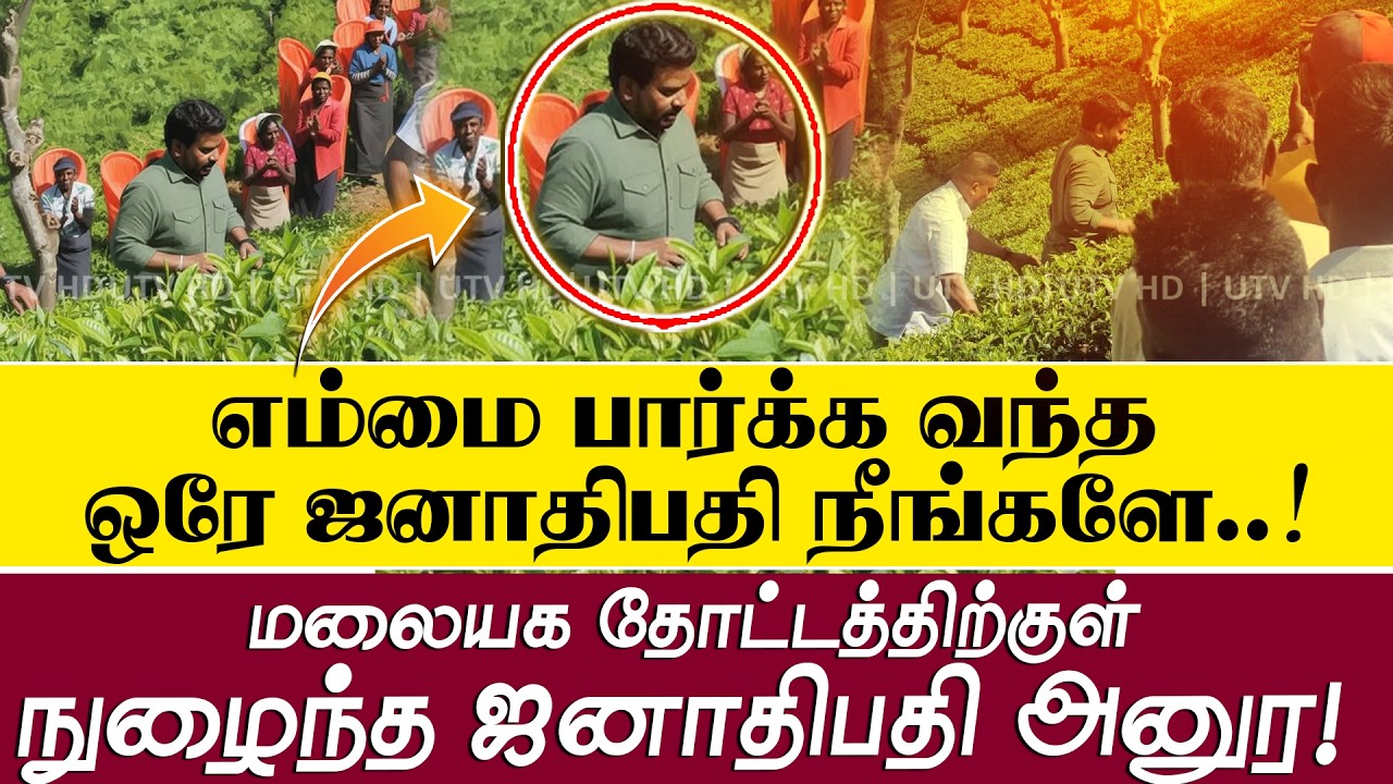 திடீரென மலையக தோட்டத்துக்குள் நுழைந்த ஜனாதிபதி அனுர!!  වතු කම්කරුවන්ගෙන් ජනපතිට උණුසුම් පිළිගැනීමක්