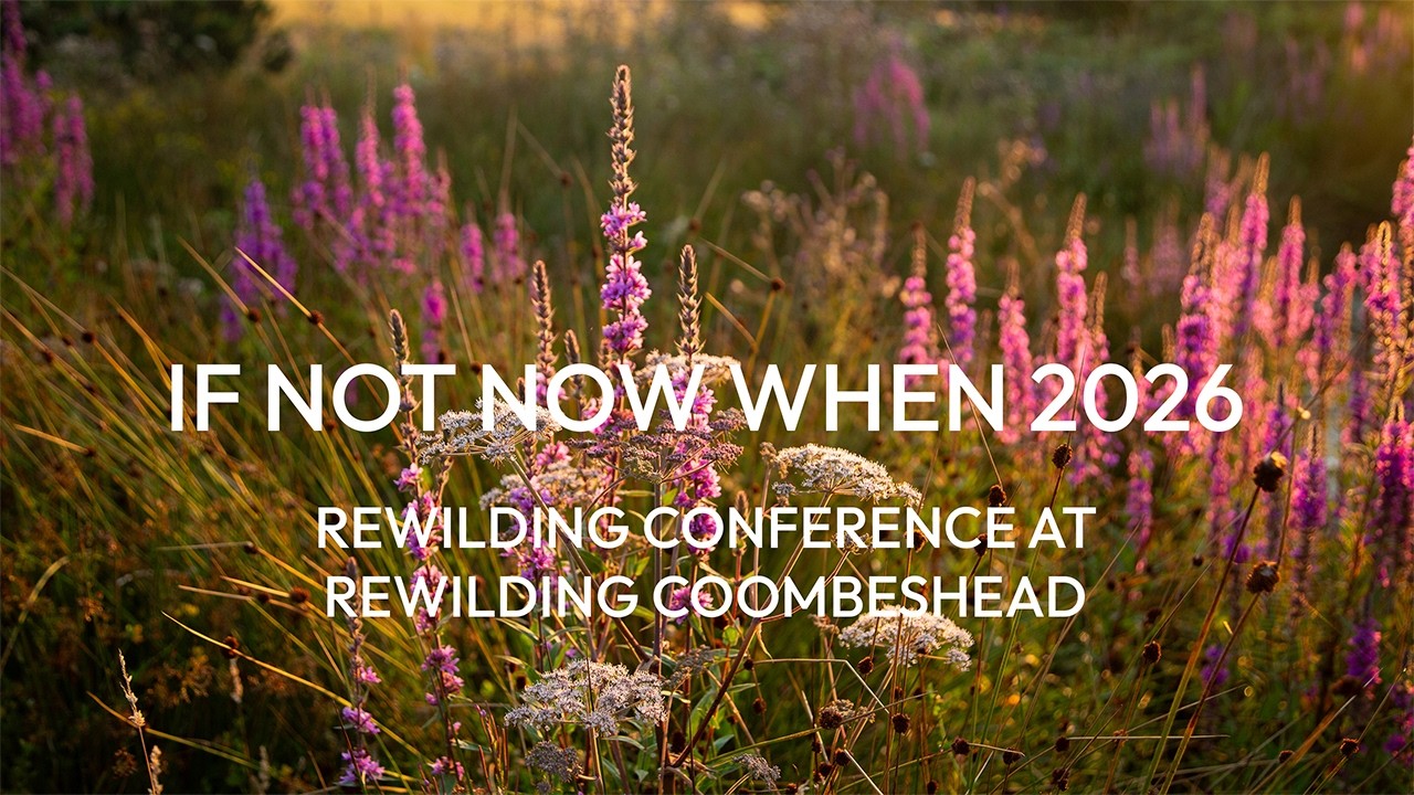 Keep it Wild - If Not Now When 2026 symposium teaser