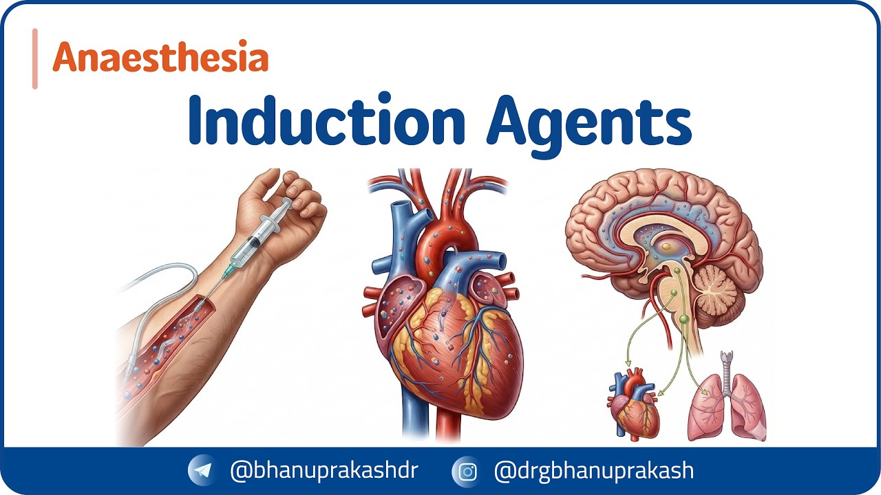 10. Индукционные препараты 💉 Фармакокинетика и системные эффекты