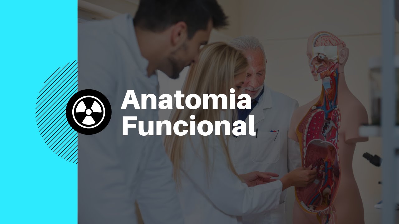 Anatomia Funcional do Aparelho Locomotor [Radiologia na Palma da M&atilde;o]