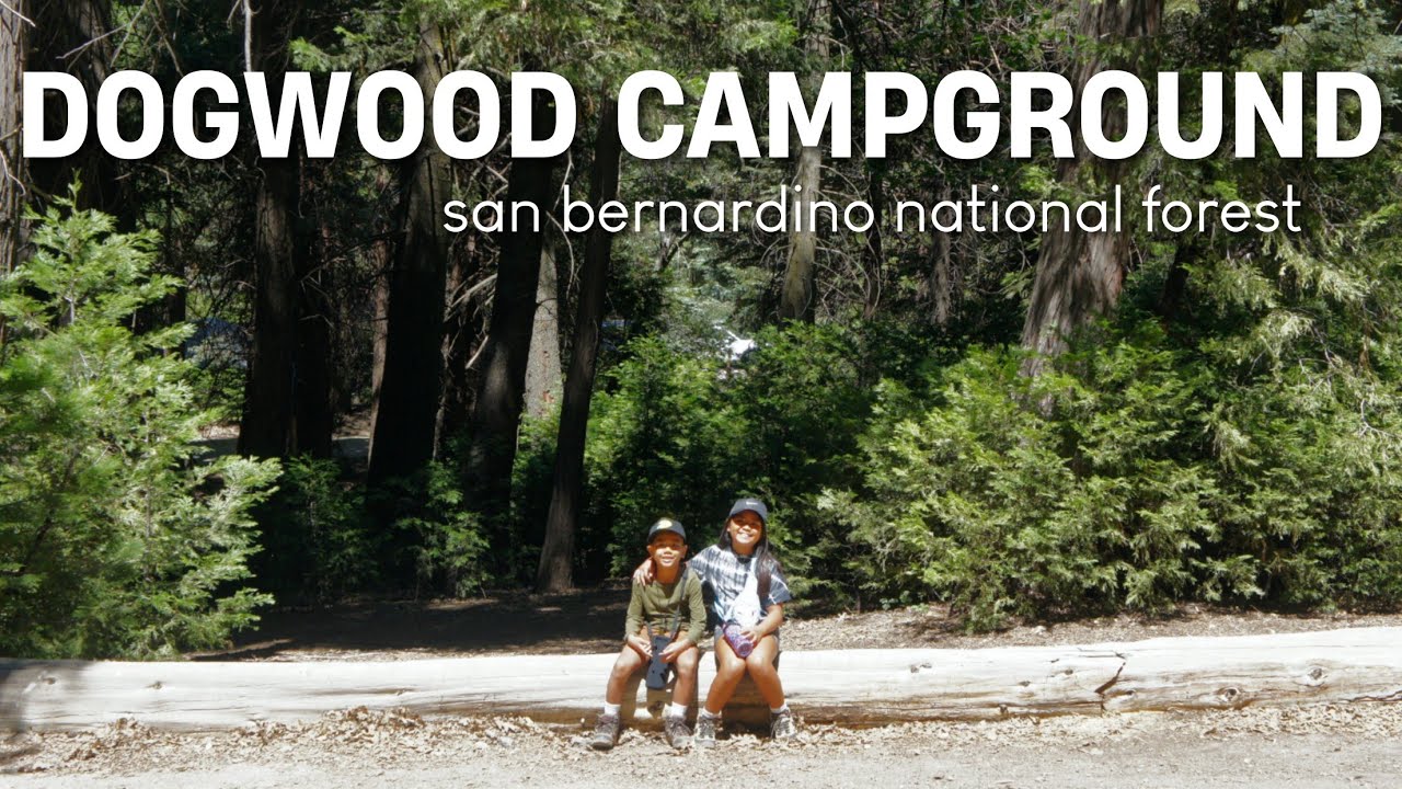 Dogwood Campground | San Bernardino National Forest | Heart Rock Trail | Amber & Maddox