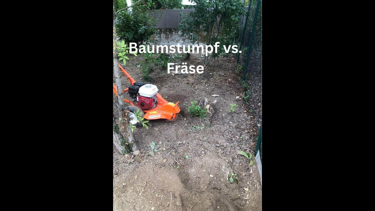 Baumstümpfe schnell entfernen/ Stubbenfräse/ Baumstumpffräse
