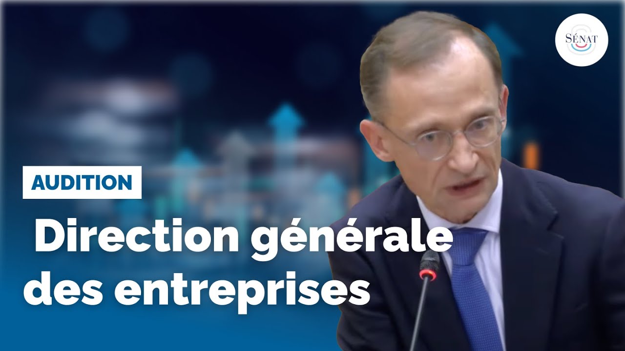 Aides aux entreprises : Direction g&eacute;n&eacute;rale des entreprises