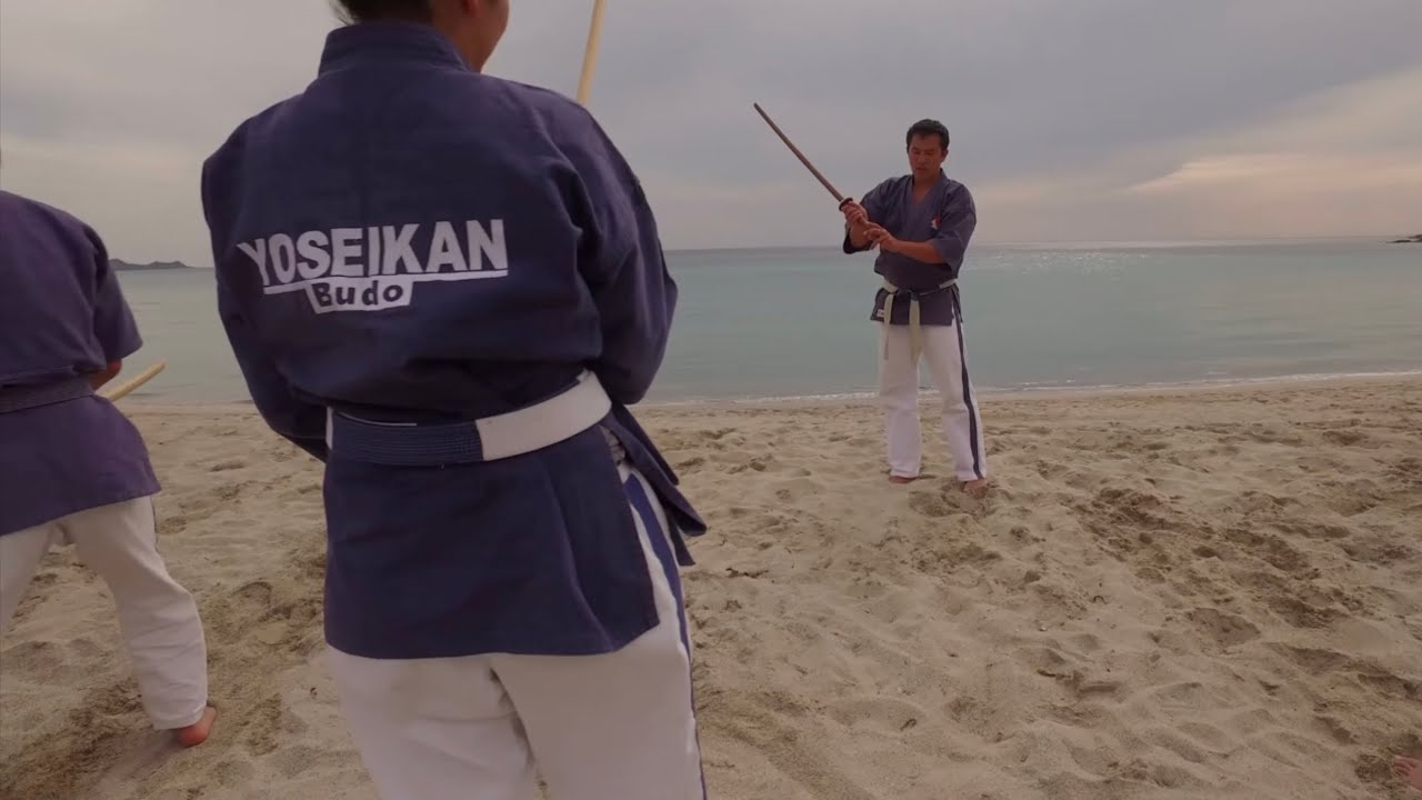 Yoseikan Budo -  2025