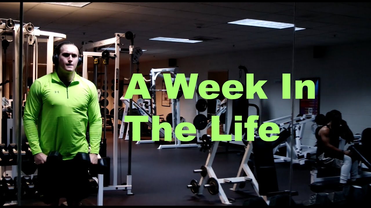A Week In The Life - Patrick Burns