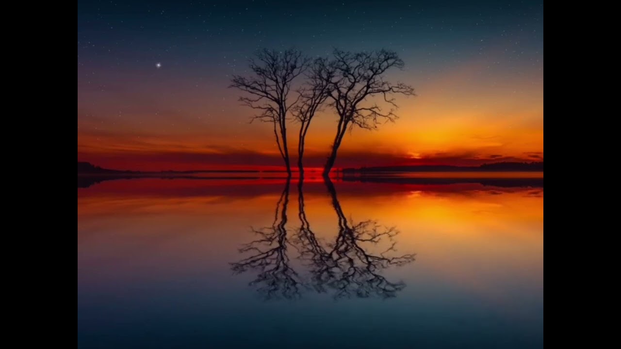 أَرَجُ دَارِيْــن فـي تَعَـامُـلِ الأَمِـيْــن مَع المُخْطِئيــن (17)