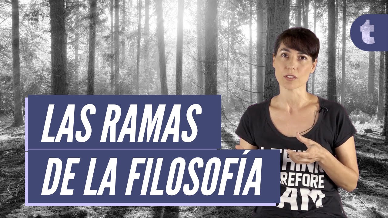 ¿Cuáles son las ramas de la filosofía? - El porqué de la filosofía