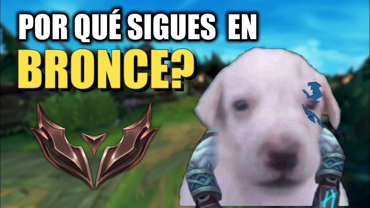 ¿Por Qué Sigues en Bronce? El Perro Te lo Explica