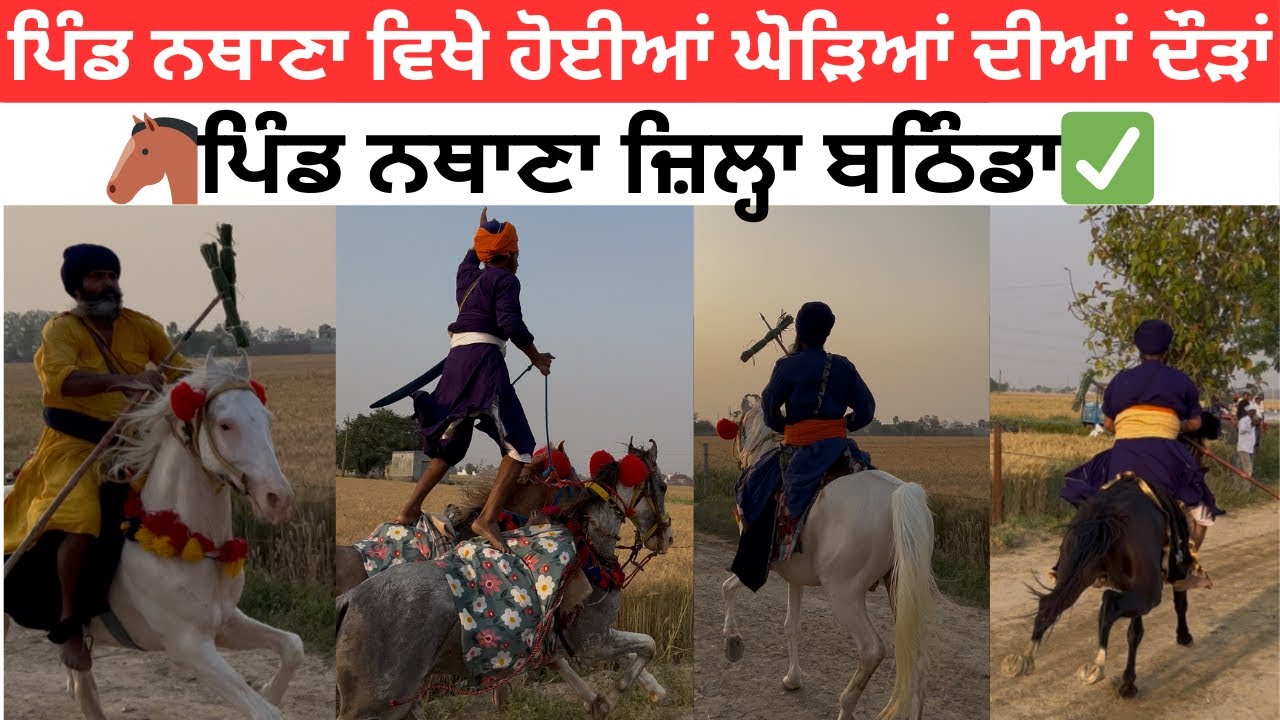 ਪਿੰਡ ਨਥਾਣਾ ਵਿਖੇ ਹੋਈਆਂ ਘੋੜਿਆਂ ਦੀਆਂ ਦੌੜਾਂ  /🐴ਪਿੰਡ ਨਥਾਣਾ ਜ਼ਿਲ੍ਹਾ ਬਠਿੰਡਾ✅